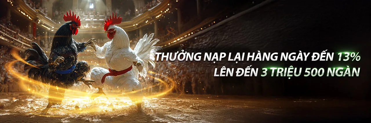 Đá Gà Trực Tuyến Hấp Dẫn tại vmax88
